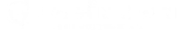 Broonson International Logo