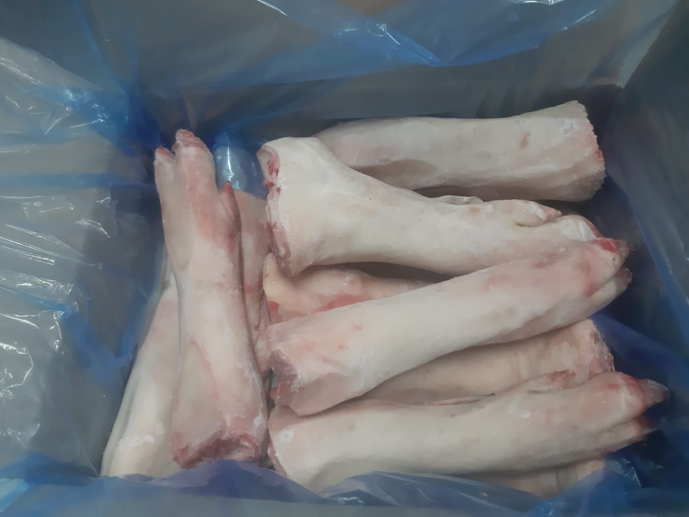 Pork Feet