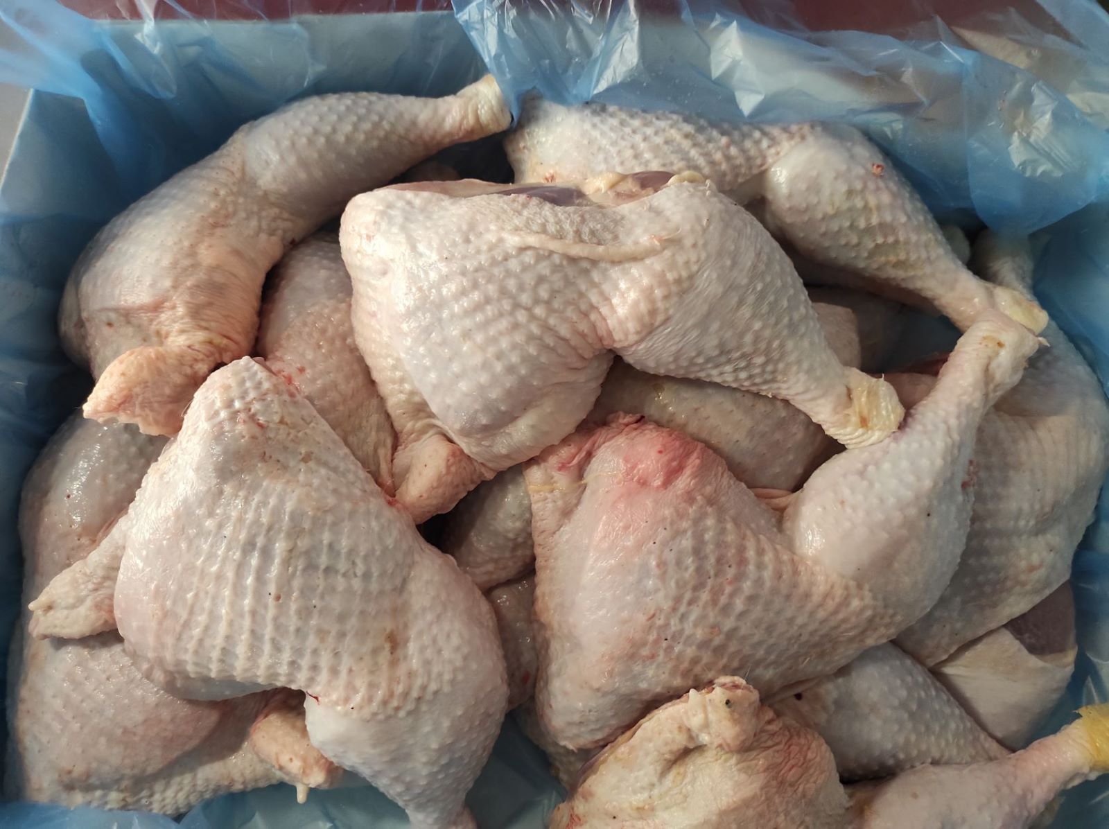 Poultry