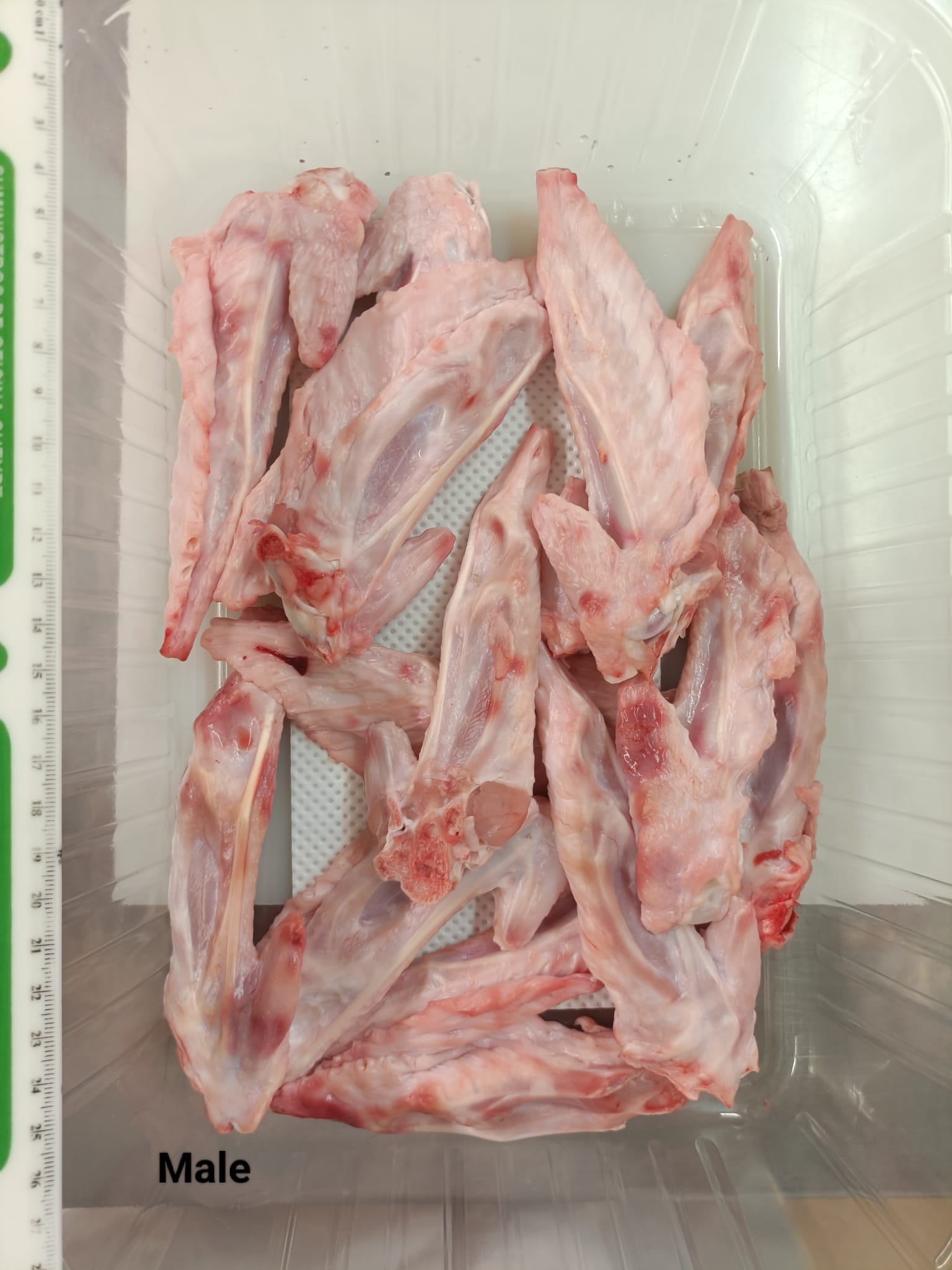 Turkey Tips